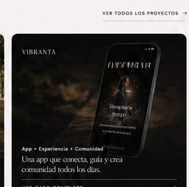 Proyecto Vibranta